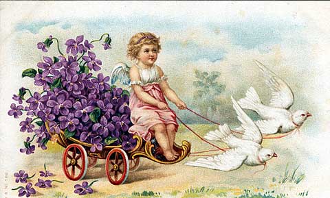 flowers in coach, cherub driving 2 doves